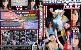 プロスタイルバトルNEO11