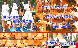 帰ってきた瀬川みおり様が巨大ゴキブリの大群を生ストッキングで踏みにじる !「スーパー・ワイド映像」で!!-前編-