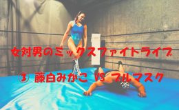 ミックスファイトライブ3