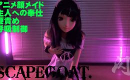 アニメ顔に改造され全力で主人に尽くすもお仕置きされた生贄