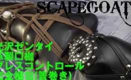 【HD】引っ越し業者に自分も安全完全梱包されてしまった生贄