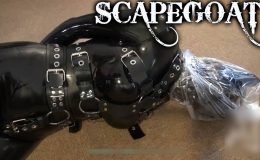 生贄：エナメル犬との生活