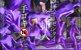 【HD】ファスナー付きゼンタイでフェラにセックスに手コキで射精させたよ(ACCOの自主制作)